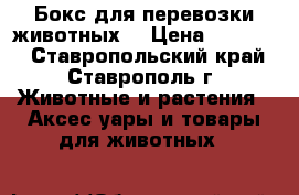 Бокс для перевозки животных  › Цена ­ 13 000 - Ставропольский край, Ставрополь г. Животные и растения » Аксесcуары и товары для животных   